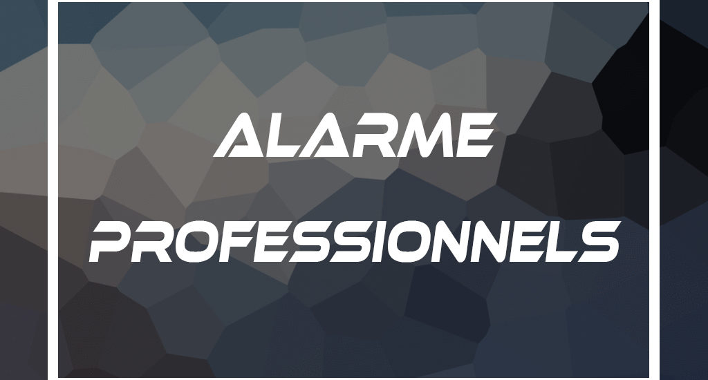 alarme professionnels